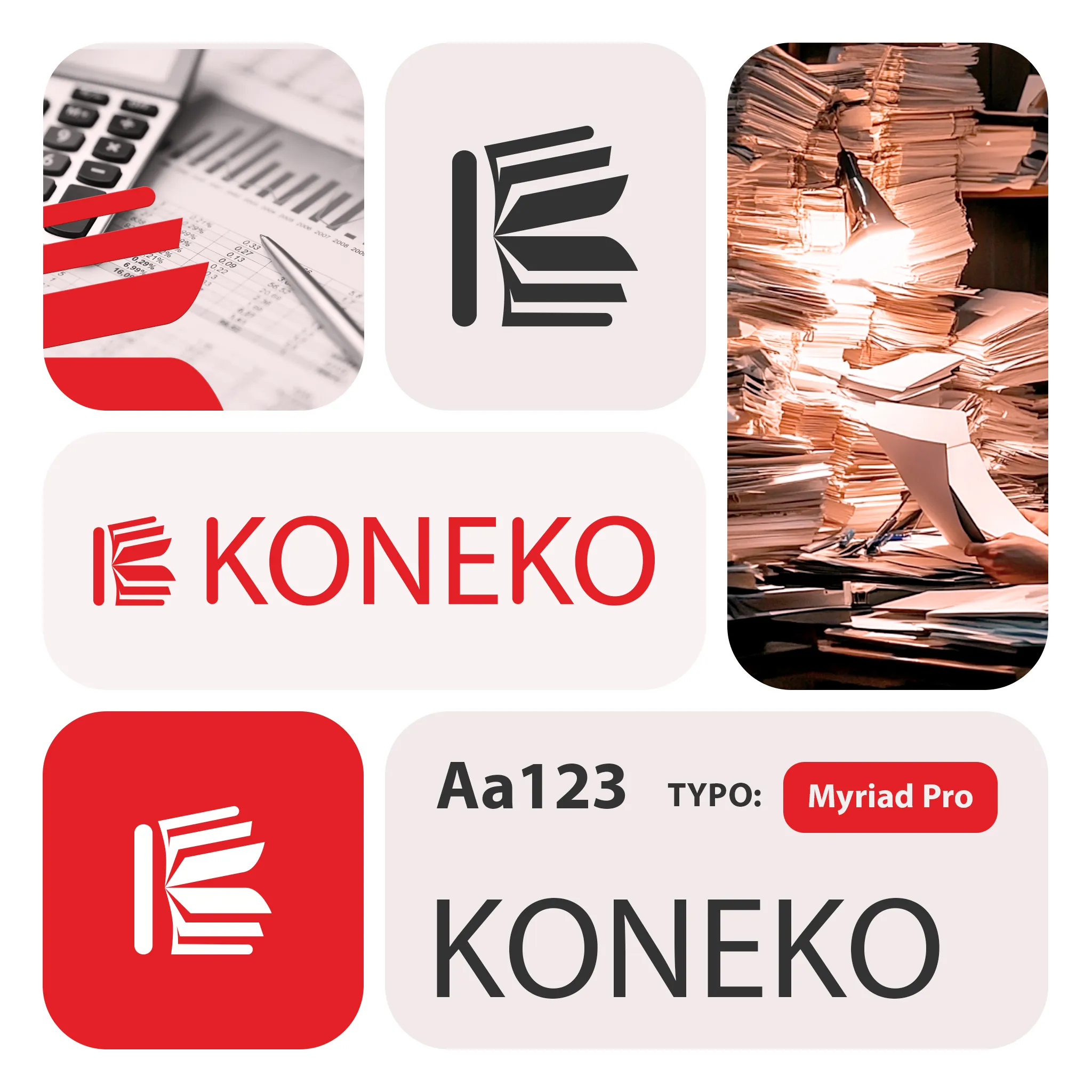 KONEKO — Accounting Services and Documents